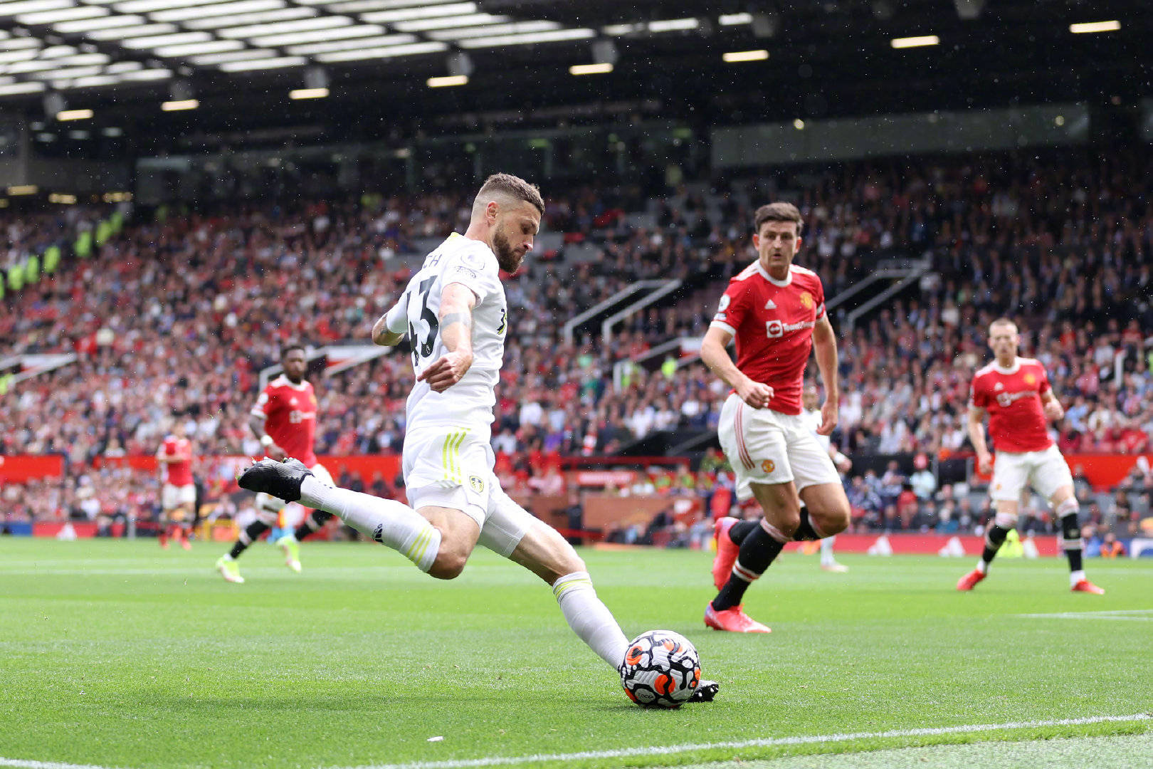 球迷的支持 球迷的支持